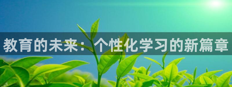 成都中创新航娱乐区：教育的未来：个性化学习的新篇章