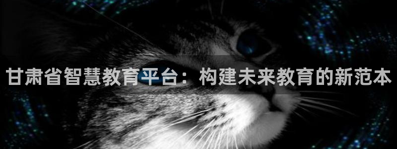 新航娱乐有限公司：甘肃省智慧教育平台：构建未来教育的新范本