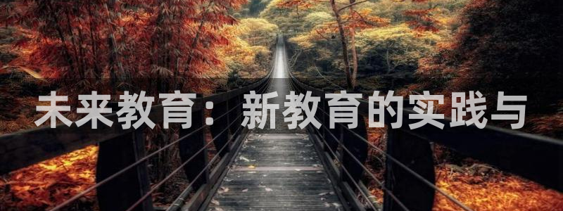 新航娱乐管理有限公司：未来教育：新教育的实践与