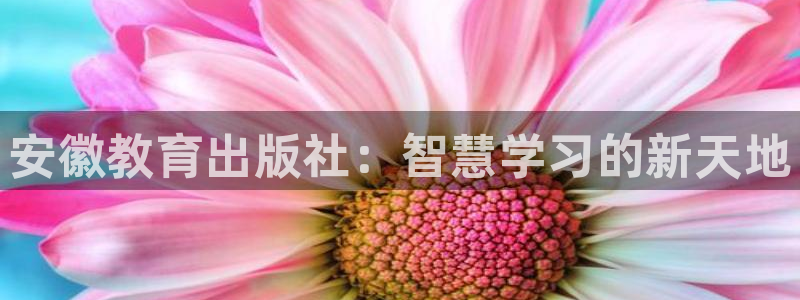 新航娱乐app官方下载：安徽教育出版社：智慧学习的新天地
