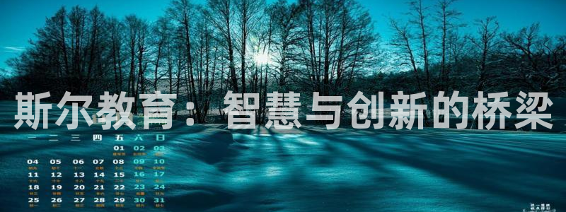 张掖新航线娱乐会所：斯尔教育：智慧与创新的桥梁