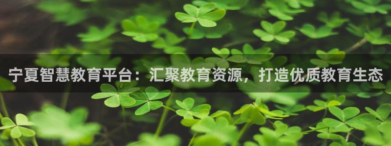 新航娱乐公司怎么样知乎：宁夏智慧教育平台：汇聚教育资源，打造