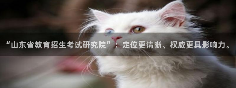 新航娱乐管理有限公司：“山东省教育招生考试研究院”：定位更清