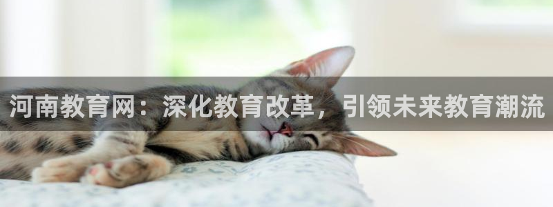新航娱乐集团最新消息：河南教育网：深化教育改革，引领未来教育