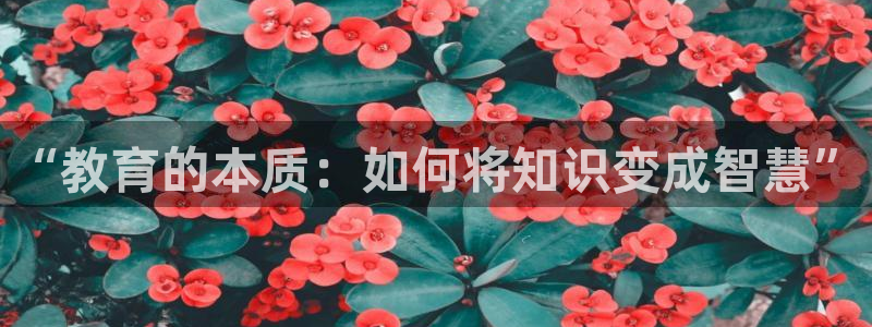 新航娱乐的创始人背景：“教育的本质：如何将知识变成智慧”