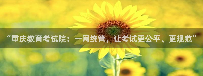 新航头等舱套房娱乐屏：“重庆教育考试院：一网统管，让考试更公