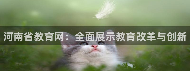 新航娱乐最新产品发布：河南省教育网：全面展示教育改革与创新