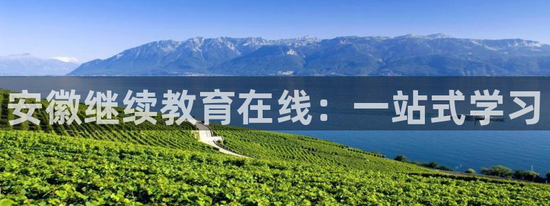 新航娱乐招商：安徽继续教育在线：一站式学习