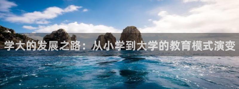 新航娱乐的创始人简介：学大的发展之路：从小学到大学的教育模式
