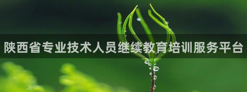 岛城娱乐新航向：陕西省专业技术人员继续教育培训服务平台