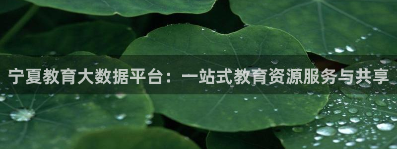新航娱乐公司旗下艺人：宁夏教育大数据平台：一站式教育资源服务