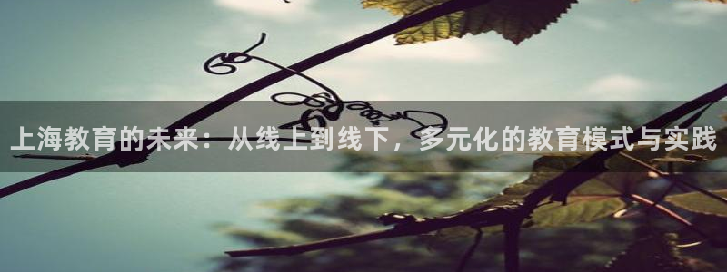 新航娱乐官方网站登录：上海教育的未来：从线上到线下，多元化的