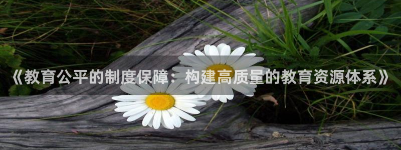高州市新航线娱乐俱乐部：《教育公平的制度保障：构建高质量的教