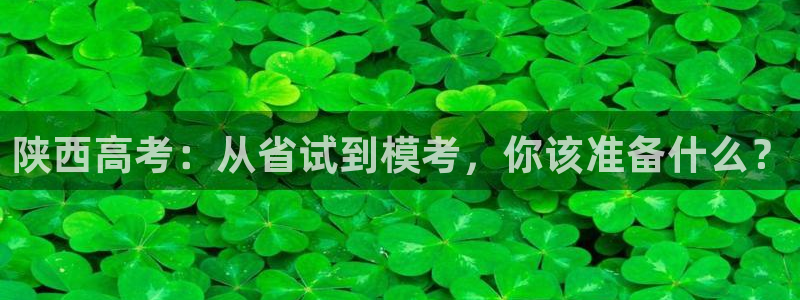 邯大新航娱乐：陕西高考：从省试到模考，你该准备什么？