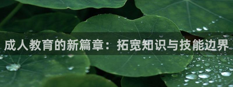 新航娱乐设施：成人教育的新篇章：拓宽知识与技能边界