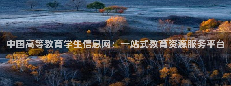 武汉中创新航娱乐室：中国高等教育学生信息网：一站式教育资源服