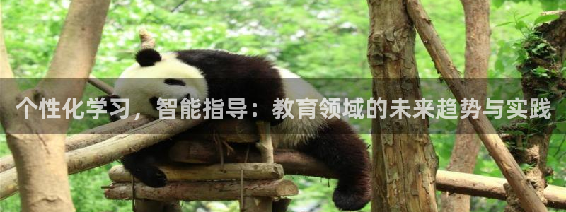 新航娱乐集团最新消息：个性化学习，智能指导：教育领域的未来趋