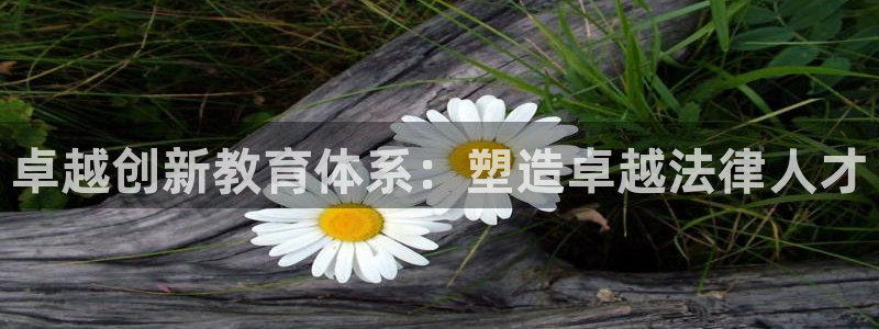 新航娱乐q被骗：卓越创新教育体系：塑造卓越法律人才
