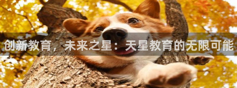 新航娱乐招商Q：创新教育，未来之星：天星教育的无限可能