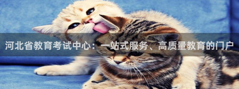 新航机上娱乐：河北省教育考试中心：一站式服务、高质量教育的门