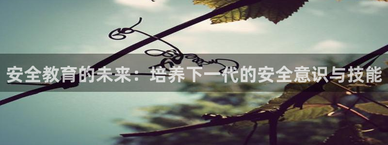 新航娱乐观：安全教育的未来：培养下一代的安全意识与技能