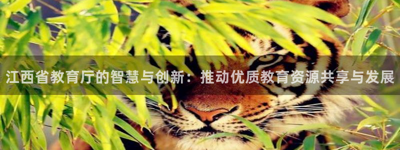 新航娱乐传媒招聘电话：江西省教育厅的智慧与创新：推动优质教育