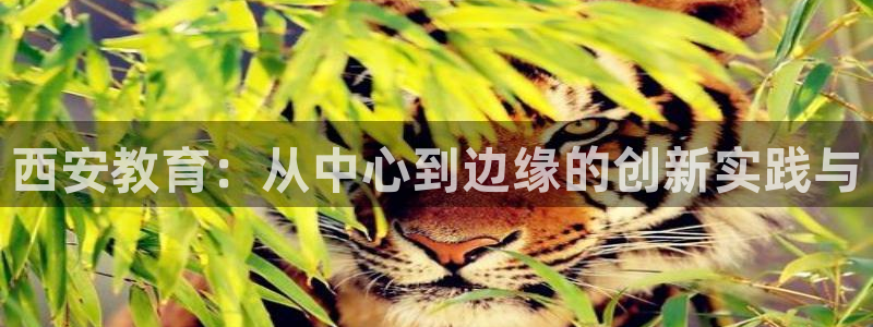 新航 娱乐系统：西安教育：从中心到边缘的创新实践与
