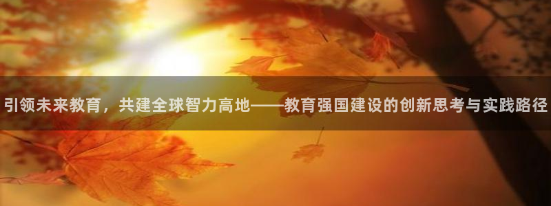 中国新航娱乐在哪个平台：引领未来教育，共建全球智力高地——教
