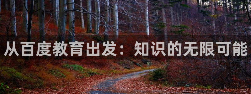 娱乐新航母：从百度教育出发：知识的无限可能