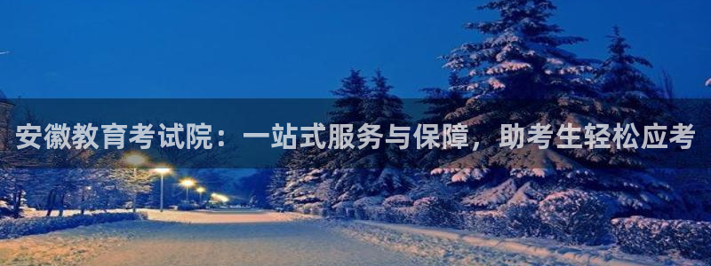 新航娱乐有限公司怎么样：安徽教育考试院：一站式服务与保障，助