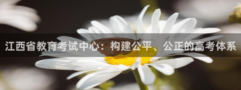 新航海娱乐会所：江西省教育考试中心：构建公平、公正的高考体系