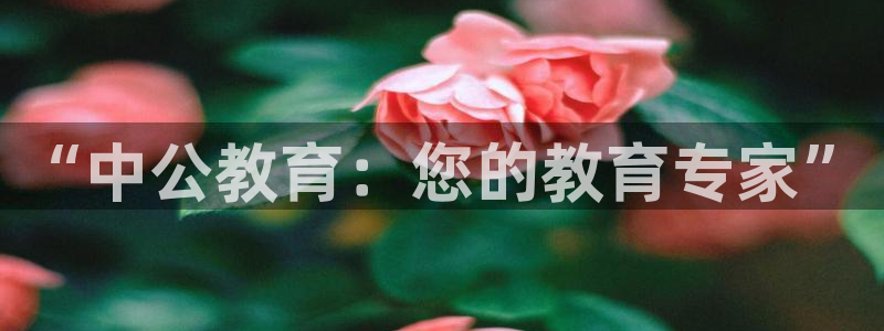 新航飞机椅背娱乐设备：“中公教育：您的教育专家”