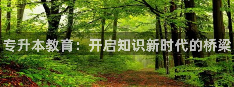 新航娱乐传媒招聘：专升本教育：开启知识新时代的桥梁