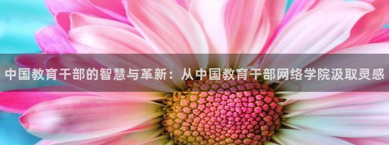 新航足浴娱乐会所：中国教育干部的智慧与革新：从中国教育干部网