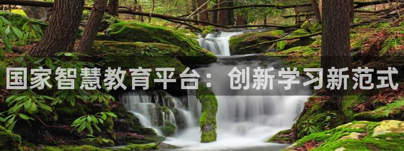 新航娱乐登录入口：国家智慧教育平台：创新学习新范式