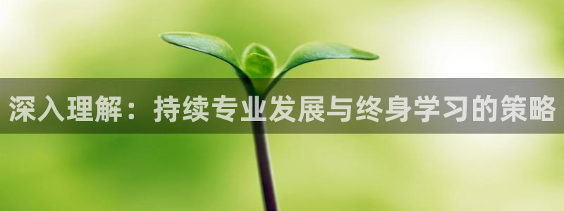 德阳娱乐城最新航拍：深入理解：持续专业发展与终身学习的策略