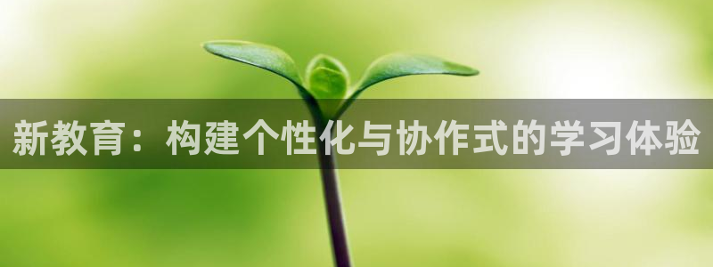 新航海娱乐会所怎么样：新教育：构建个性化与协作式的学习体验