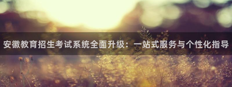 新航娱乐公司招聘电话：安徽教育招生考试系统全面升级：一站式服