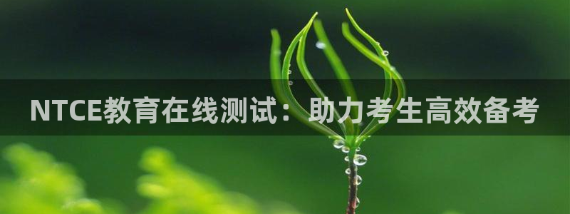 新航新客舱机上娱乐银：NTCE教育在线测试：助力考生高效备考