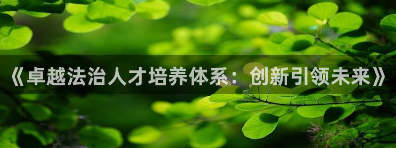 新航飞机椅背娱乐设备：《卓越法治人才培养体系：创新引领未来》