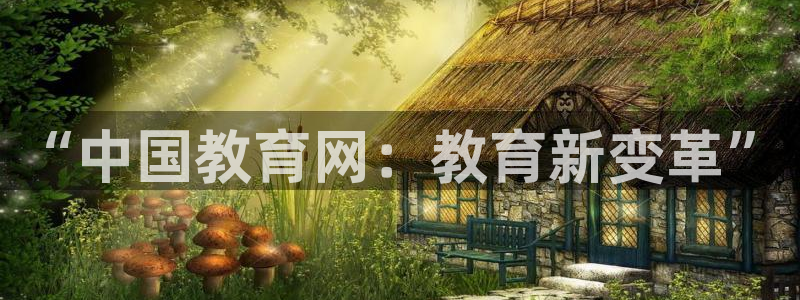 新航娱乐有限公司：“中国教育网：教育新变革”