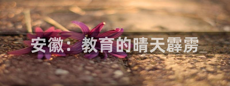 新航娱乐公司地址在哪里：安徽：教育的晴天霹雳