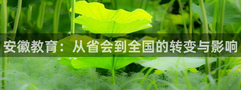 新航娱乐有方法开挂吗：安徽教育：从省会到全国的转变与影响