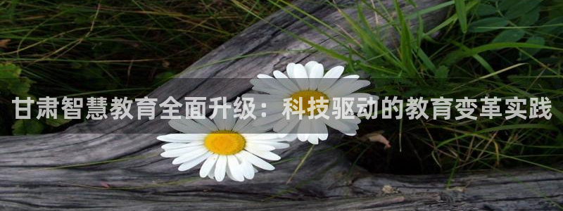 德阳娱乐城最新航拍：甘肃智慧教育全面升级：科技驱动的教育变革
