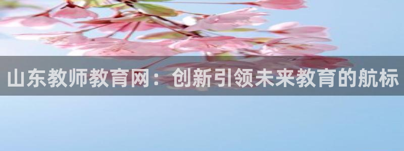 新航娱乐app下载：山东教师教育网：创新引领未来教育的航标