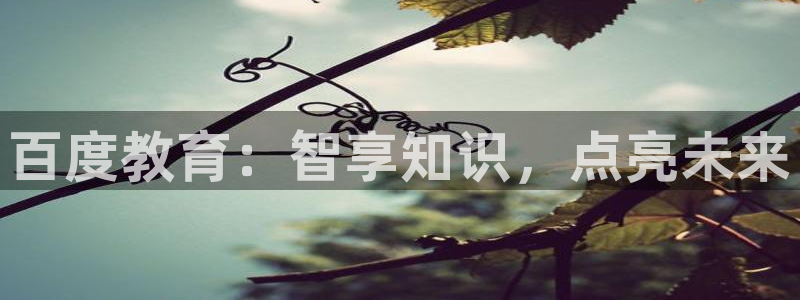 新航娱乐官网登录入口：百度教育：智享知识，点亮未来