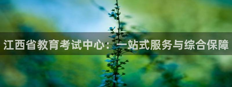 餐饮娱乐新航向：江西省教育考试中心：一站式服务与综合保障