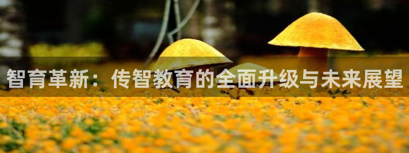 新航海娱乐会所电话是多少：智育革新：传智教育的全面升级与未来