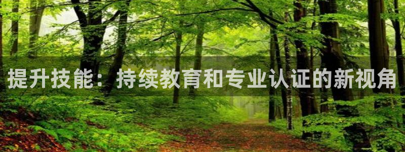 新航新客舱机上娱乐银：提升技能：持续教育和专业认证的新视角