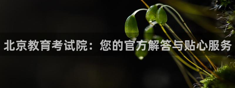 新航娱乐棋牌：北京教育考试院：您的官方解答与贴心服务